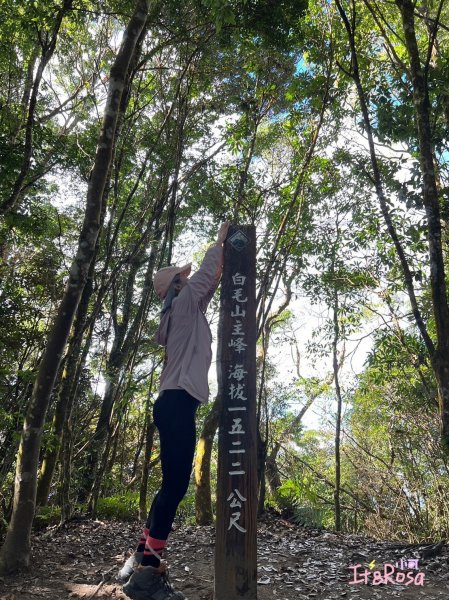 白毛山-谷關七雄 中級山2337144