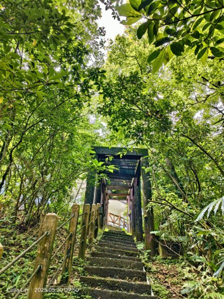 雙溪蝙蝠山-苕谷瀑布-麻竹坑山-梅竹蹊山2793945