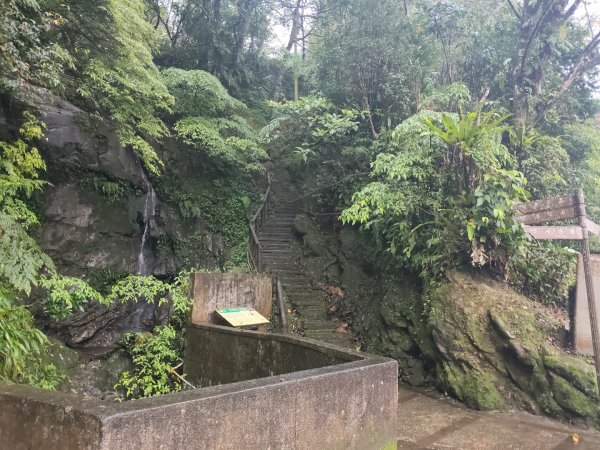 微笑山線：【五分山系】平溪小黃山段2955009