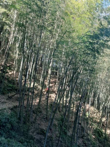 四天皇山知鳥山青園山篤鼻山1264660