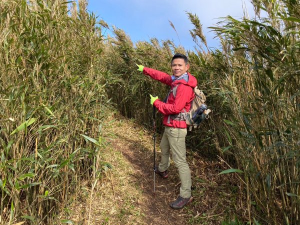 小觀音山群峰【當登山遇到惰性來襲時…】2686384