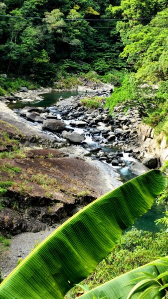 塔曼山，拔刀爾山，美鹿山南峰，內洞林道，大刀山，啦卡登山步道，桃園枕頭山，阿姆坪生態公園，大溪坪古道1795622