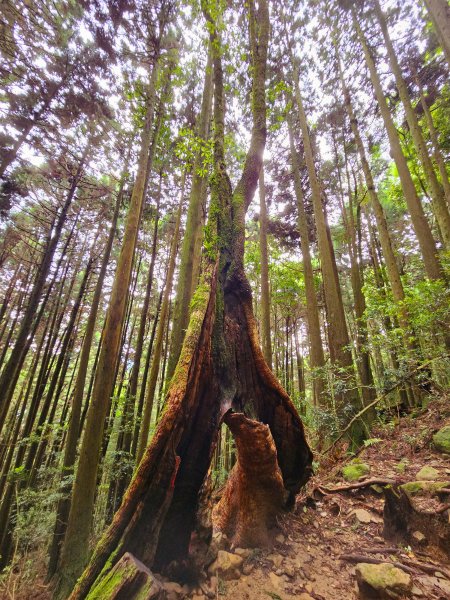 小百岳集起來-加里山2185868