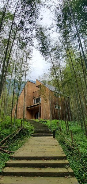 2024-05-19溪頭自然教育園區2508023