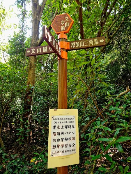 犁頭山、文山步道-2025森遊竹縣皮皮獅探險隊2890084
