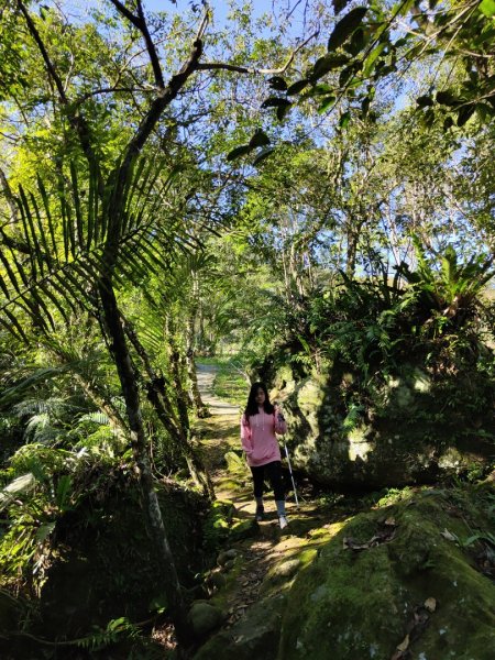 2024.02.12 高遶溪古圳步道2844452