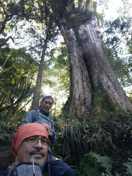 20231025⛰️二萬坪山 🌲黑森林🌲樹抱石 奮起湖老老街2326736