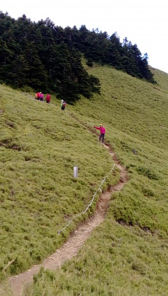 2018首登合歡群峰之北峰與西峰 446896