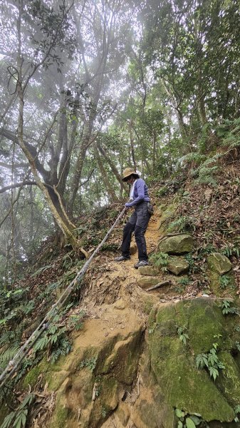 【稜線瘦如刀鋒，山形橫亙如屏風】解鎖第55座小百岳 #045 大橫屏山2932869