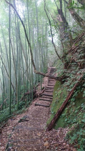 石壁山賞花行1605591