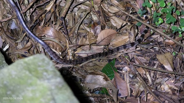 翡翠水庫壩頂 #曙光 #日出 #火燒雲 #斜射光(上帝光) #雲海 3/12722426