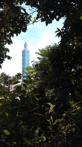 【臺北大縱走6】象山南港山縱走九五峰虎山942808