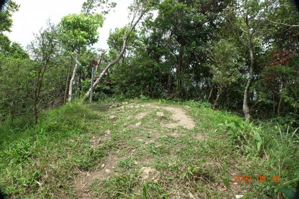 基隆 頂寮山、龍門山、五分山、頂子寮山2265960