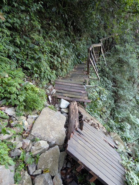 孕婦第一次的谷關七雄馬崙山2991622