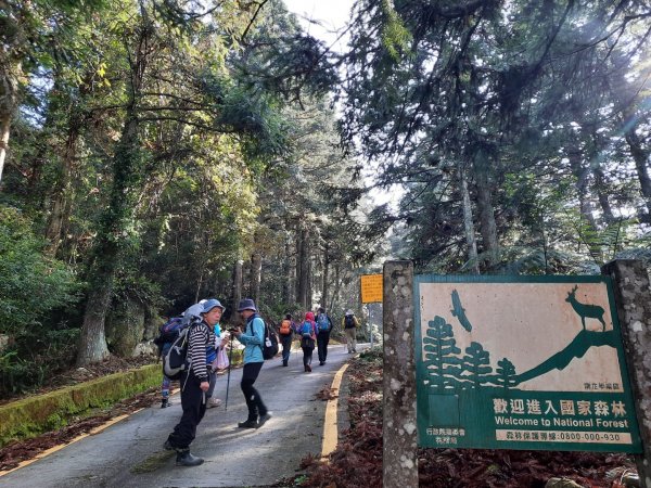 南庄加里山大坪大湳山麓2034096