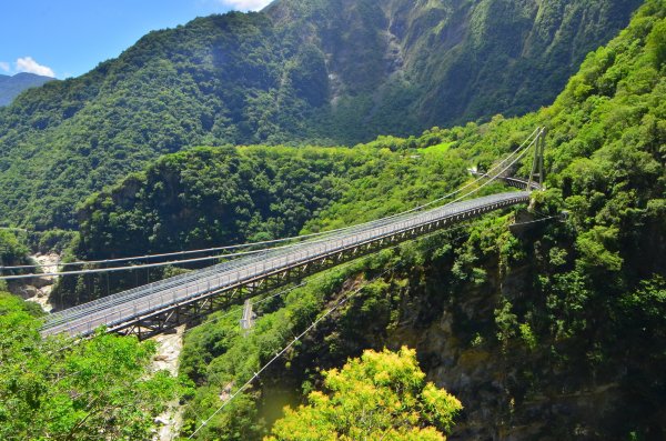 【新聞】山月吊橋配合春節中橫遊園專車，111年2月2~4日免預約，採現場排隊參訪