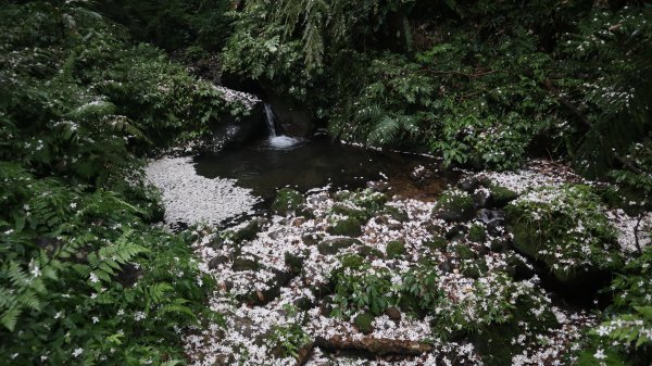 雙石縱走登山健行趣(小百岳24號&25號)2169515