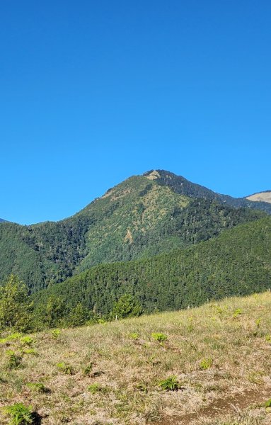 【中級山】馬武霸山，實至名歸的百岳觀景台2937728