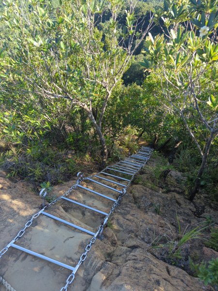 2025.10.10－微笑山線：【二格山系】皇帝殿稜線2919523