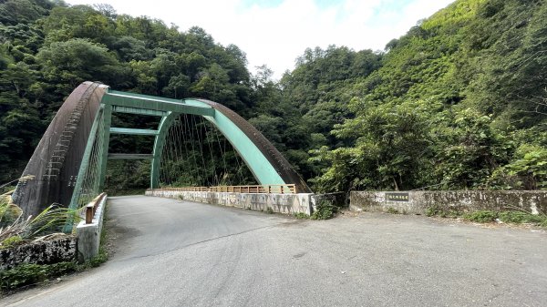 走入清晨19度c的上帝部落>>司馬庫斯(巨木群步道)1767397