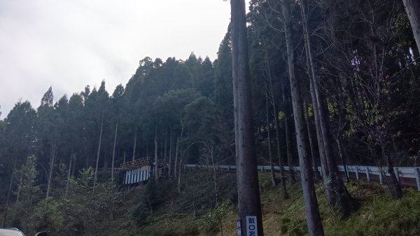 探加里山路徑2054175