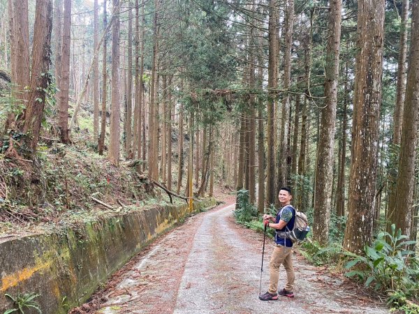 望鄉部落.獵人古道.望美山.瓊山【人與自然山林的恩怨情仇】2731377