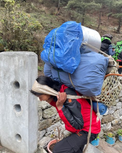 尼泊爾EBC馬牛螺羊動物寫真-山屋-協作-美食2789009