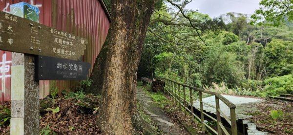 阿哲/小黑3031508