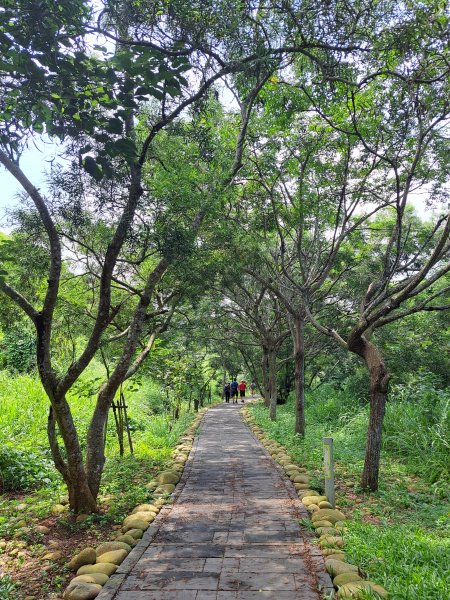 龍井竹坑南寮步道(C去主回)+竹坑山2263083