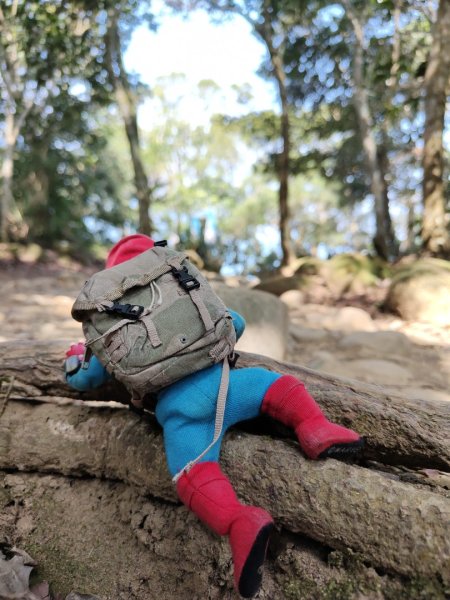 2024.01.02 飛鳳山2832159