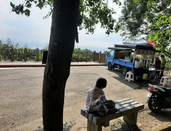 【小百岳集起來】（2-2） 樹林大同山、青龍嶺、大棟山連走碧龍步道、牛灶山步道、孫龍步道1480767