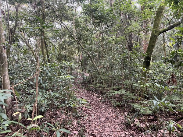 [屏步青雲 尋寶任務-02/10] 2024_0916 尾寮山登山步道2597404