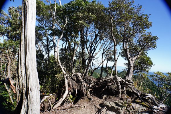 新竹 尖石 貴妃山、那結山2913595