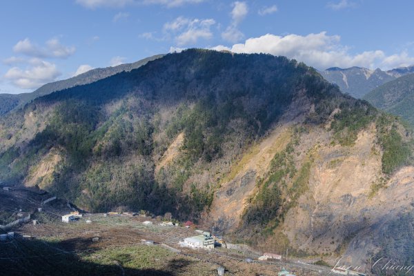 福壽山千櫻園櫻花季初開2717409