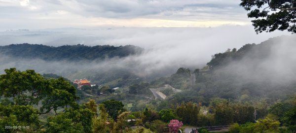 #雲瀑 #雲海 #琉璃光 #天空之城（林口）#觀音山 #林梢步道 3/13008583