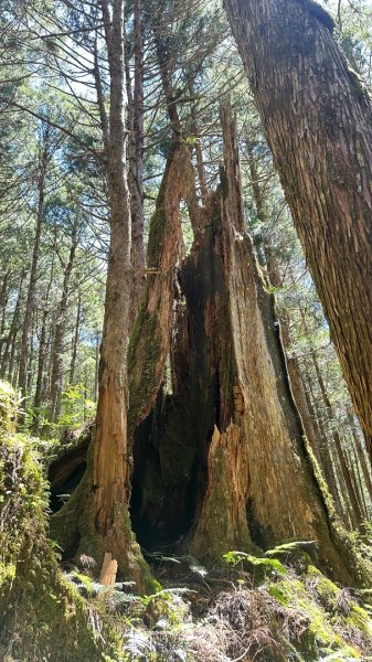 太平之旅 三星山/翠峰湖/見晴2873359