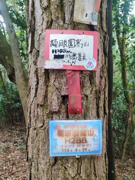 飛沙龍逆走2988860