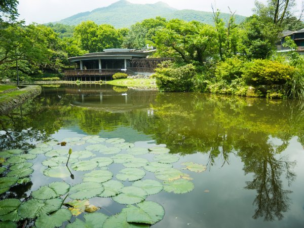 【行腳陽明山】初夏裡蒼翠欲滴的環七星山與百拉卡公路人車分道2188752