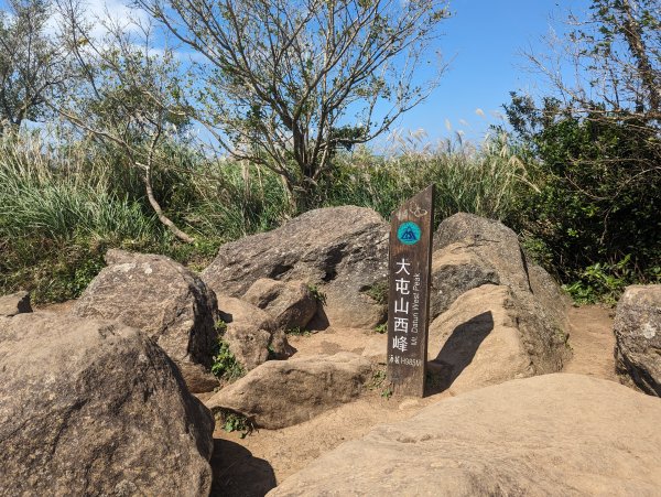 秋天賞芒行@大屯山連峰步道2318217