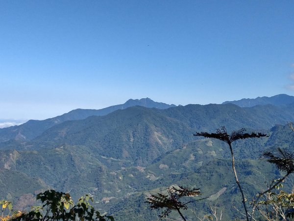 馬那邦山(小百岳#37)登山步道。點點楓紅 2020/12/131425329