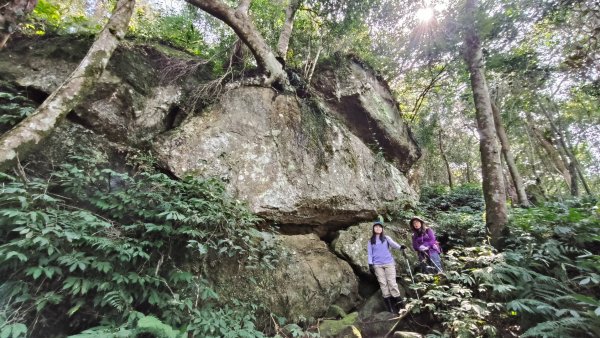 油羅山202503092731885