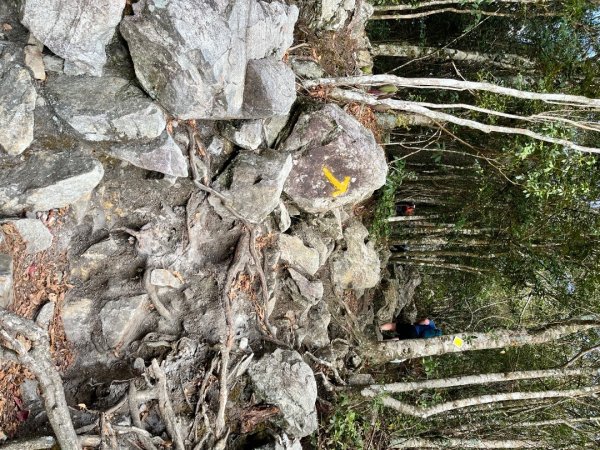 20260124_鳶嘴山（台中小百岳）3102230