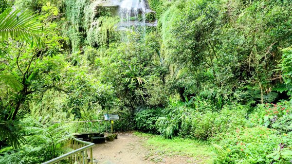 微笑山線銀河洞越嶺段2852822