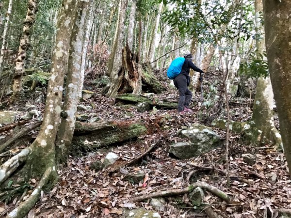 八仙山駐在所環走八仙山1251702