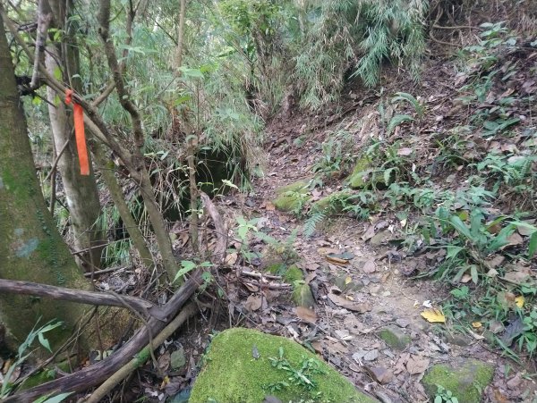 暗影山 小百岳 三等三角點4181690860