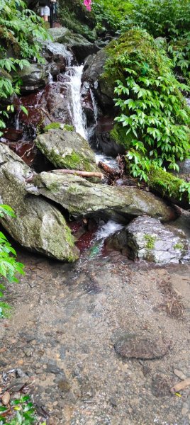 聖母登山步道2599814