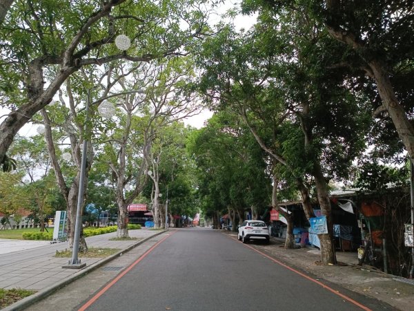 南山神壽任務-雲林古坑綠色隧道1859334