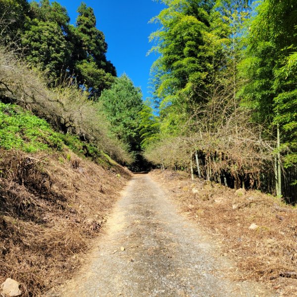 溪頭鳳凰山隆田線（小百岳）2350869