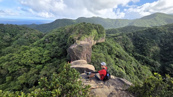 夏季的黃金十稜接九稜下門牙稜C型(草長路荒慎行)2880671