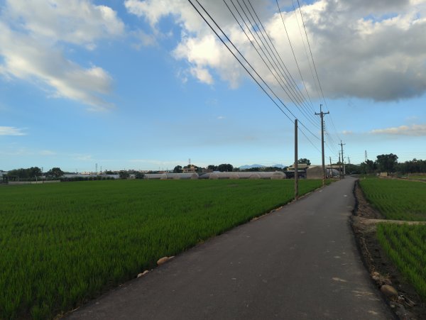 2025.08.24－霄裡好風光：霄裡~忠貞新村2868626